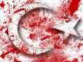 icon of group Türk