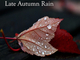 Late Autumn Rain