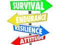 Resilience