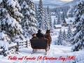 FIELDS AND FORESTS (A CHRISTMAS SONG)