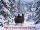 FIELDS AND FORESTS (A CHRISTMAS SONG)