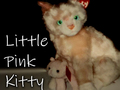 Little Pink Kitty