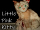 Little Pink Kitty