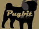 PUGBIT music