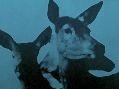 Fred nousdeuxtheband